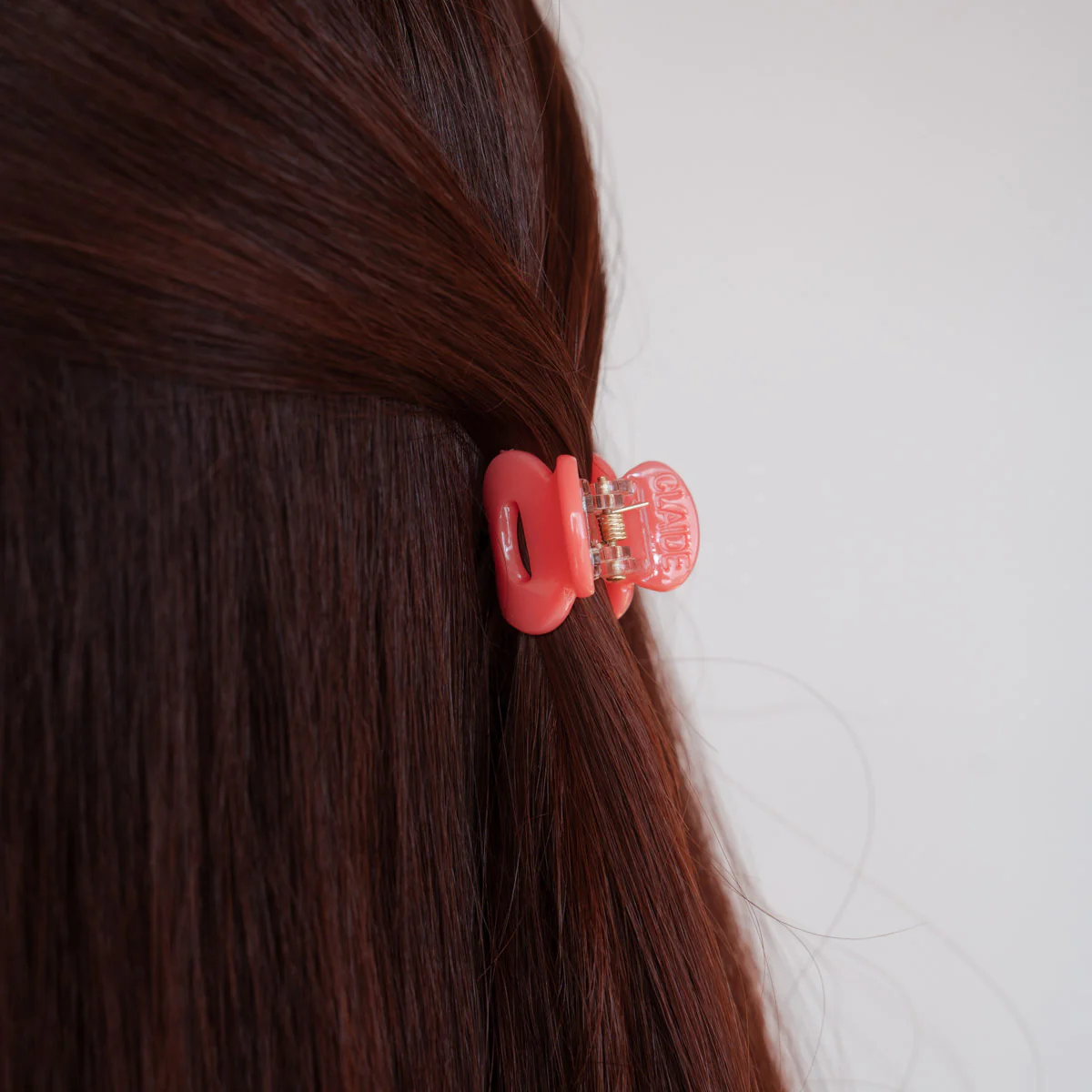 Ariel Haarklammer - Image 7