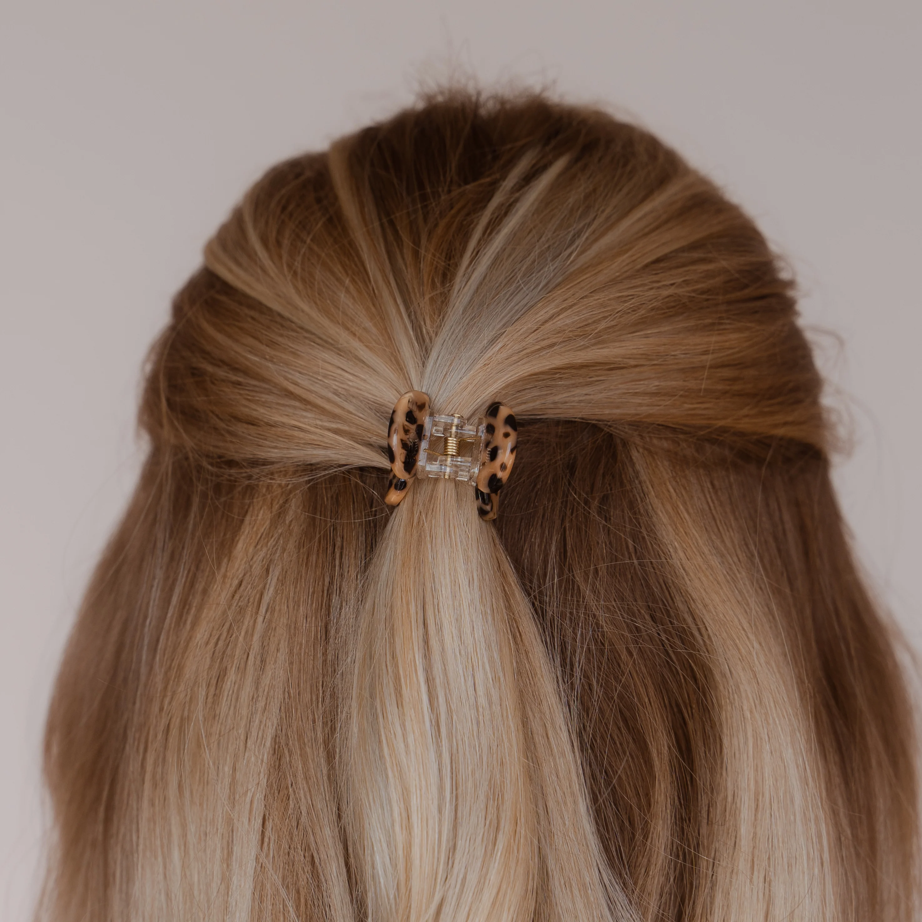 Lee Haarklammer - Image 4